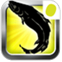 竞彩信息中心核对结果